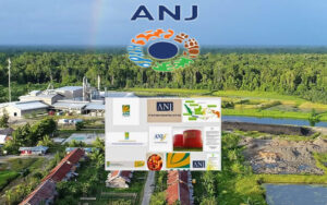 Saham Austindo Nusantara Jaya Performa dan Prospek Agribisnis