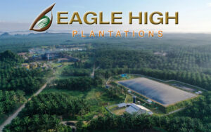 Eagle High Plantations Prospek, Kinerja, dan Tantangan